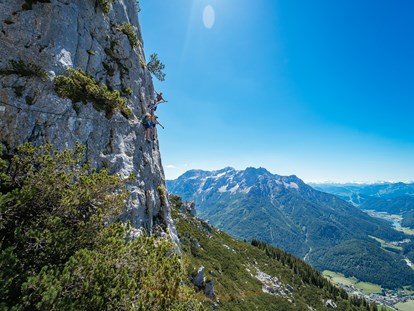 Ausflug mit Kindern - Parkmöglichkeiten - Kitzbüheler Alpen - Triassic Park auf der Steinplatte