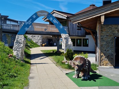 Ausflug mit Kindern - Dauer: ganztags - PLZ 5090 (Österreich) - Triassic Park  Steinplatte Waidring