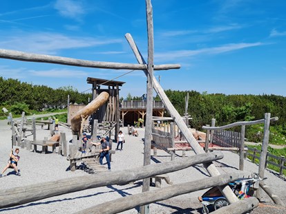 Ausflug mit Kindern - TOP Ausflugsziel 2023 - Bayerisch Gmain - Triassic Park  Steinplatte Waidring