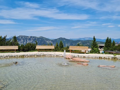 Ausflug mit Kindern - Ausflugsziel ist: ein Freizeitpark - Österreich - Triassic Park  Steinplatte Waidring