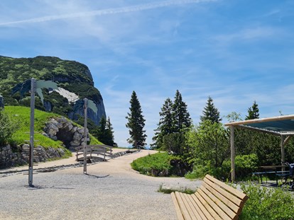 Ausflug mit Kindern - Alter der Kinder: 6 bis 10 Jahre - Schloßberg (Maria Alm am Steinernen Meer) - Triassic Park  Steinplatte Waidring