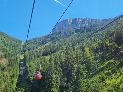 Ausflug mit Kindern - Ausflugsziel ist: ein Aussichtspunkt - Kitzbüheler Alpen - TriassicPark auf der Steinplatte