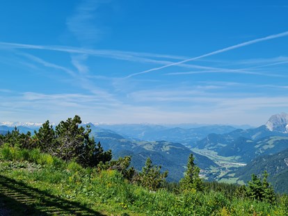 Ausflug mit Kindern - Ausflugsziel ist: ein Freizeitpark - Tiroler Unterland - TriassicPark auf der Steinplatte