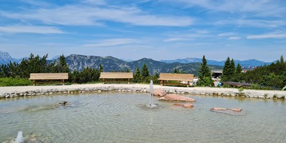 Ausflug mit Kindern - Freizeitpark: Erlebnispark - PLZ 5084 (Österreich) - TriassicPark auf der Steinplatte