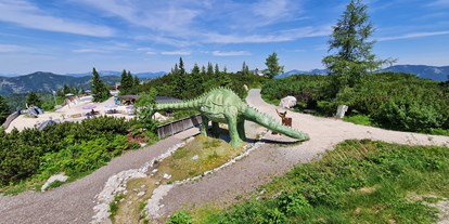 Ausflug mit Kindern - Themenschwerpunkt: Entdecken - Grassau (Landkreis Traunstein) - TriassicPark auf der Steinplatte