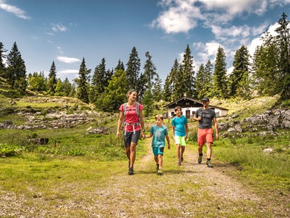 Ausflug mit Kindern - Weg: Erlebnisweg - Fieberbrunn - Steinplatte Waidring Triassic Park  - TriassicPark auf der Steinplatte