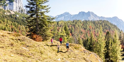 Ausflug mit Kindern - Themenschwerpunkt: Action - Kitzbüheler Alpen - TriassicPark auf der Steinplatte