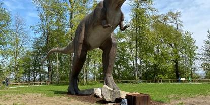 Ausflug mit Kindern - Geinberg - Dinosaurierausstellung bis 10/2022 Katzenberg 