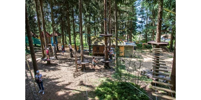 Ausflug mit Kindern - Hunde: nur im Außenbereich erlaubt - Oberneukirchen (Oberneukirchen) - Hochseilgarten Kirchschlag Ralf & Walter / Kletterpark