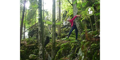 Ausflug mit Kindern - Umgebungsschwerpunkt: Fluss - Pabing (Straß im Attergau) - Die Steinklüfte muten wie ein Zauberwald an.  - Steinklüfte und Plombergstein