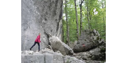 Ausflug mit Kindern - Ausflugsziel ist: ein Aussichtspunkt - Sankt Leonhard (Grödig) - Die großen Felsblöcke in den Steinklüften laden zum Kraxeln ein.  - Steinklüfte und Plombergstein