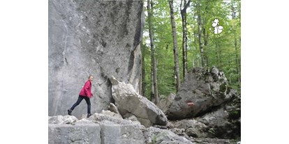 Ausflug mit Kindern - Umgebungsschwerpunkt: Fluss - Pabing (Straß im Attergau) - Die großen Felsblöcke in den Steinklüften laden zum Kraxeln ein.  - Steinklüfte und Plombergstein