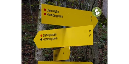 Ausflug mit Kindern - Umgebungsschwerpunkt: Land - Sankt Leonhard (Grödig) - Mehrere Wege führen zum Ziel.  - Steinklüfte und Plombergstein