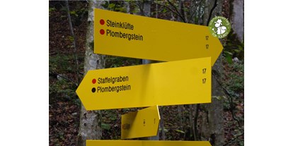Ausflug mit Kindern - Umgebungsschwerpunkt: Land - Grödig - Mehrere Wege führen zum Ziel.  - Steinklüfte und Plombergstein