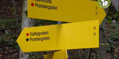 Ausflug mit Kindern - Alter der Kinder: 4 bis 6 Jahre - Sankt Leonhard (Grödig) - Steinklüfte und Plombergstein