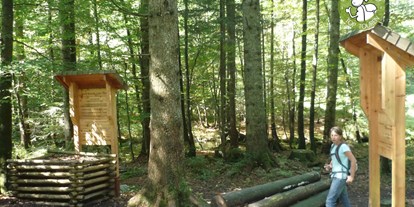 Ausflug mit Kindern - Umgebungsschwerpunkt: Wald - Bergen (Landkreis Traunstein) - Erlebnispfad Frillensee bei Adlgaß