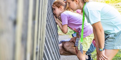 Ausflug mit Kindern - Witterung: Wind - Sörenberg - Foxtrail 