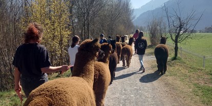 Ausflug mit Kindern - Seelisberg - Alpakas am Waltersberg