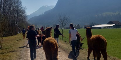 Ausflug mit Kindern - Flüelen - Alpakas am Waltersberg