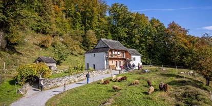 Ausflug mit Kindern - Ausflugsziel ist: ein Naturerlebnis - Schweiz - Ballenberg, Freilichtmuseum der Schweiz