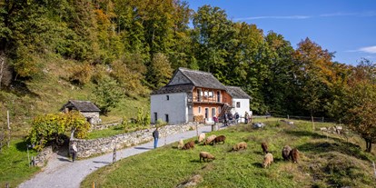 Ausflug mit Kindern - Umgebungsschwerpunkt: Berg - Alpnachstad - Ballenberg, Freilichtmuseum der Schweiz