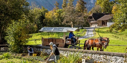Ausflug mit Kindern - Kinderwagen: großteils geeignet - Grindelwald - Ballenberg, Freilichtmuseum der Schweiz