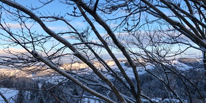 Ausflug mit Kindern - Witterung: Schnee - Brülisau - Baumwipfelpfad Neckertal
