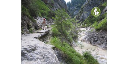 Ausflug mit Kindern - Umgebungsschwerpunkt: Fluss - Großgmain - So schaut der Weg in die Klamm aus.  - Aschauer Klamm bei Schneizlreuth
