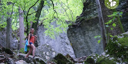 Ausflug mit Kindern - Umgebungsschwerpunkt: Wald - Weißenkirchen im Attergau - Trockene Klamm bei Elsbethen
