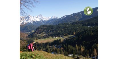 Ausflug mit Kindern - geprüfte Top Tour - Salzburg - Hier oben beginnt der "Lammertaler Urwald", das 2. Ziel.  - Spießalm und Lammertaler Urwald
