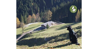 Ausflug mit Kindern - Themenschwerpunkt: Entdecken - PLZ 5602 (Österreich) - Blick vom Ausgangspunkt in den "Lammertaler Urwald" auf die Spießalm hinunter.  - Spießalm und Lammertaler Urwald