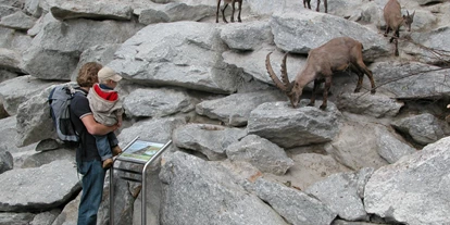 Ausflug mit Kindern - Restaurant - Österreich - Das Steinbockgehege befindet sich am höchsten Punkt im Alpenzoo und ist begehbar. - Alpenzoo Innsbruck-Tirol, der höchstgelegene Zoo Europas (750 m)