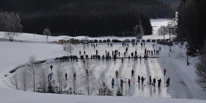 Ausflug mit Kindern - Witterung: Kälte - Sattlberg - Eisstockschießen am Golfplatzteich