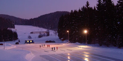 Ausflug mit Kindern - Witterung: Kälte - Sattlberg - Eisstockschießen am Golfplatzteich
