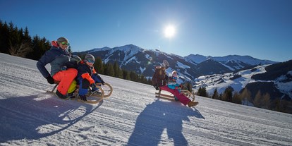 Ausflug mit Kindern - Ausflugsziel ist: ein Skigebiet - Schloßberg (Maria Alm am Steinernen Meer) - Rodelbahn am Reiterkogel