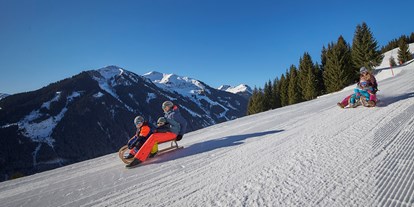 Ausflug mit Kindern - Ausflugsziel ist: ein Skigebiet - Saalfelden am Steinernen Meer - Rodelbahn am Reiterkogel