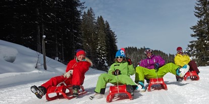 Ausflug mit Kindern - Ausflugsziel ist: ein Skigebiet - Schloßberg (Maria Alm am Steinernen Meer) - Rodelbahn Spielberghaus