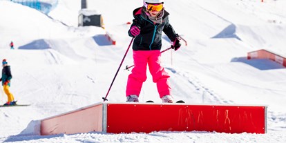 Ausflug mit Kindern - Ausflugsziel ist: ein Skigebiet - Niedernsill - Family Park U-Bahn