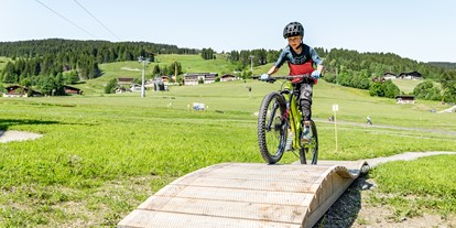 Ausflug mit Kindern - Witterung: Bewölkt - Taxenbach - Learn To Ride Park