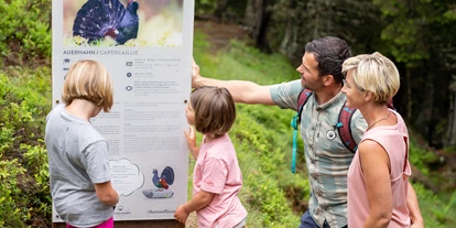 Trip with children - Ausflugsziel ist: ein Wandergebiet - Salzburg - NEU: Wildlife Trail