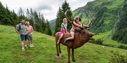 Trip with children - Alter der Kinder: Jugendliche - Saalfelden am Steinernen Meer - NEU: Wildlife Trail