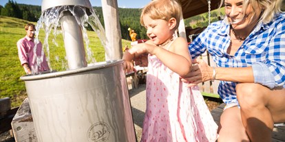 Ausflug mit Kindern - Alter der Kinder: 0 bis 1 Jahre - PLZ 5672 (Österreich) - Montelino's Wasserspielplatz