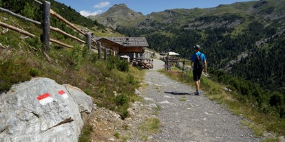 Ausflug mit Kindern - Steinegg (Trentino-Südtirol) - Ski- und Wandergebiet Reinswald