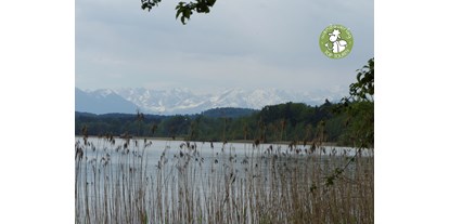 Ausflug mit Kindern - Witterung: Kälte - Gilching - Stille am Starnberger See in Bernried
