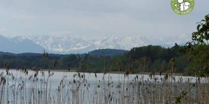 Ausflug mit Kindern - Witterung: Kälte - Gilching - Stille am Starnberger See in Bernried