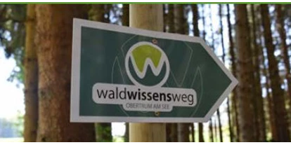 Trip with children - erreichbar mit: Auto - Sankt Leonhard (Grödig) - Wald Wissens Weg und Waldspielplatz Obertrum am See 