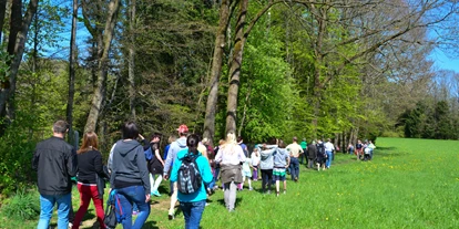 Ausflug mit Kindern - Alter der Kinder: 1 bis 2 Jahre - Sankt Leonhard (Grödig) - Wald Wissens Weg und Waldspielplatz Obertrum am See 
