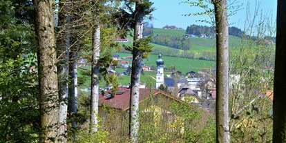 Ausflug mit Kindern - Kleinschäding - Wald Wissens Weg und Waldspielplatz Obertrum am See 