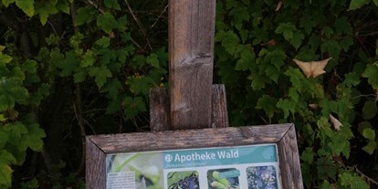 Ausflug mit Kindern - Ausflugsziel ist: ein Naturerlebnis - Bad Dürrnberg - Wald Wissens Weg und Waldspielplatz Obertrum am See 