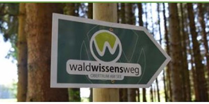 Ausflug mit Kindern - PLZ 4894 (Österreich) - Wald Wissens Weg und Waldspielplatz Obertrum am See 
